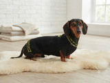 Paw print clothes sweater for pets,dog clothes jumper with paw