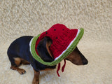 Watermelon Dog Bucket Hat, summer panama cap with open ears dachshund, pet clothes photo shoot gift dog's mom
