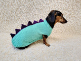 Custom Knitted Dinosaur Outfit for Dachshund – Winter Dog Apparel