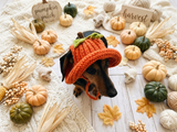 Pumpkin Panama Dog Hat Halloween Summer Hat with Open Ears for Dachshund Pet Clothes Photo Shoot Gift for Dog Mom