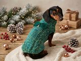 Christmas sweater with bow for dachshund or small dog