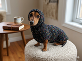 Mohair Dog Sweater and Hat Set: Warm Winter Dachshund Suit