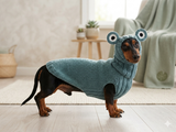 Pet Frog Costume - Halloween Costume Frog Sweater and Hat - Dachshund Frog Set for Dog Photo Shoot-Halloween dog costume for small dog Frog