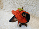 Pumpkin Panama Dog Hat Halloween Summer Hat with Open Ears for Dachshund Pet Clothes Photo Shoot Gift for Dog Mom