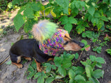 Handmade Dachshund Beanie, Knitted Dog Snood with Pom Pom, Winter Puppy Hat, Small Pet Ear Warmer, Custom Dog Apparel