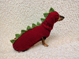 Dinosaur Dog Sweater and Hat Set – Handmade Knitted Pet Costume