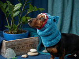 Shark knitted warm wool snood for dog