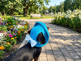Knitted summer panama for dog, panama for dachshund, summer hat for dog