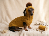 Doxie dachshund costume sweater and hat, knitwear set for dachshund sweater and hat