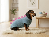 Dinosaur Dog Sweater - Hand-Knitted Dachshund Outfit