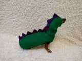 Matching Dog Sweater and Hat – Adorable Dinosaur Pet Apparel