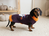 Halloween Pet Clothes With Ghost Pumpkin And Bat,Dog Halloween Sweater