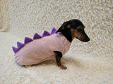 Cute Dinosaur Dog Jumper - Handmade Winter Apparel for Pets