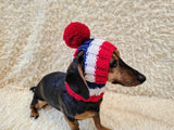 Multi-Color Striped Dog Snood: Hand-Knit Pom-Pom Beanie for Dachshunds