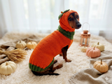 Pumpkin Halloween Clothes for Pets - Dog and Cat Pumpkin Sweater - Halloween Outfit Dachshund Pumpkin Costume