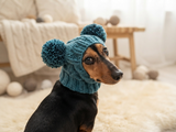Hand-Knitted Dachshund Snood with Pompoms, Funny Dog Hat for Small Breeds, Animal Style Knitted Dog Hood, Cozy Dachshund Winter Headwear
