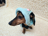 Panama dog an Easter bunny, summer hat for dachshund, sun protection with open ears