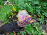 Handmade Dachshund Beanie, Knitted Dog Snood with Pom Pom, Winter Puppy Hat, Small Pet Ear Warmer, Custom Dog Apparel
