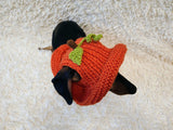 Pumpkin Panama Dog Hat Halloween Summer Hat with Open Ears for Dachshund Pet Clothes Photo Shoot Gift for Dog Mom