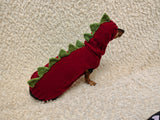 Dinosaur Dog Sweater and Hat Set – Handmade Knitted Pet Costume