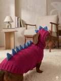Dragon Dinosaur Winter Dog Clothes Costume Jumper and Hat