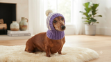 Winter knitted hat for small dog,hat for dogs, pet clothes, winter hat for dog, handmade hat, hat for dachshund, knitted hat, gift hat