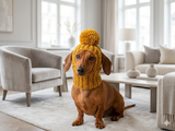 Hat for dog with pompom and holes for the ears
