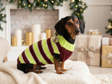 Christmas Striped Dog Sweater With Pom Poms-green red white stripe christmas clothes for pets
