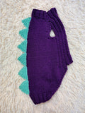 Knitted Dinosaur Costume for Dogs - Custom Dachshund Sweater