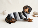 Handmade striped knitted sweater for dog, clothes for dachshund, sweater for dog