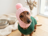 Pink warm winter hat for dachshund, pink hat dog