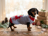 Christmas Pet Sweater with Reindeer,Dachshund Dog Christmas Outfit Clothes