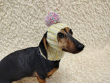 Hat winter pet wool with one pompom,clothes warm hat for dog