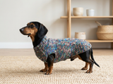 Wool dog jumper,dachshund cloches wool sweater