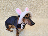 Easter bunny Dog Bucket Hat, summer panama cap with open ears dachshund, pet clothes photo shoot gift dog's mom