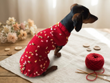 Sweater with flowers and butterflies for miniature dachshund or small dog.