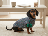 Wool aran sweater for mini dachshund or small dog, dachshund puppy sweater, terrier sweater, small dog sweater