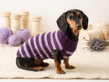 Handmade striped knitted sweater for dog, clothes for dachshund, sweater for dog