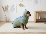 Crocheted Dinosaur Dog Costume – Funny Pet Sweater with Spikes