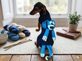 Clothes with toy dog for dachshund or small dog, Mini Dachshund Jumper, Clothes Dog Sweater, Sweater for miniature dachshund or small dog