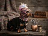 Handmade Dachshund Beanie, Knitted Dog Snood with Pom Pom, Winter Puppy Hat, Small Pet Ear Warmer, Custom Dog Apparel