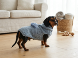 Sweatshirt winter coat for dogs, jumper for dachshunds, hoodies for pets