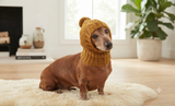 Winter clothes for dogs knitted hat owl