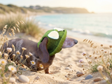 Knitted summer panama for dog, panama for dachshund, summer hat for dog