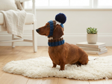 Multi-Color Striped Dog Snood: Hand-Knit Pom-Pom Beanie for Dachshunds