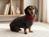 Alpaca wool pet clothes jumper - warm sweater for dog - warm clothes sweater for dachshund