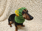 Duck Dog Hat PomPom, Designer Pet Party Clothes outfit, Warm Winter wool knitted Dachshund Beanie with Pattern, gift for dogs lover