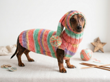 Bright Christmas pet outfit set jumper and hat, christmas outfit for photo shoot,christmas gift for dogs, Santa costume for dog