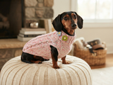 Handmade Cable Knit Dachshund Sweater | Warm Dog Clothes