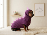 Cute Dino Dog Outfit – Personalized Handcrafted Dog Sweater Set